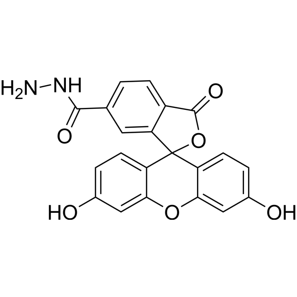 FAM hydrazide, 6-isomer 151890-73-2